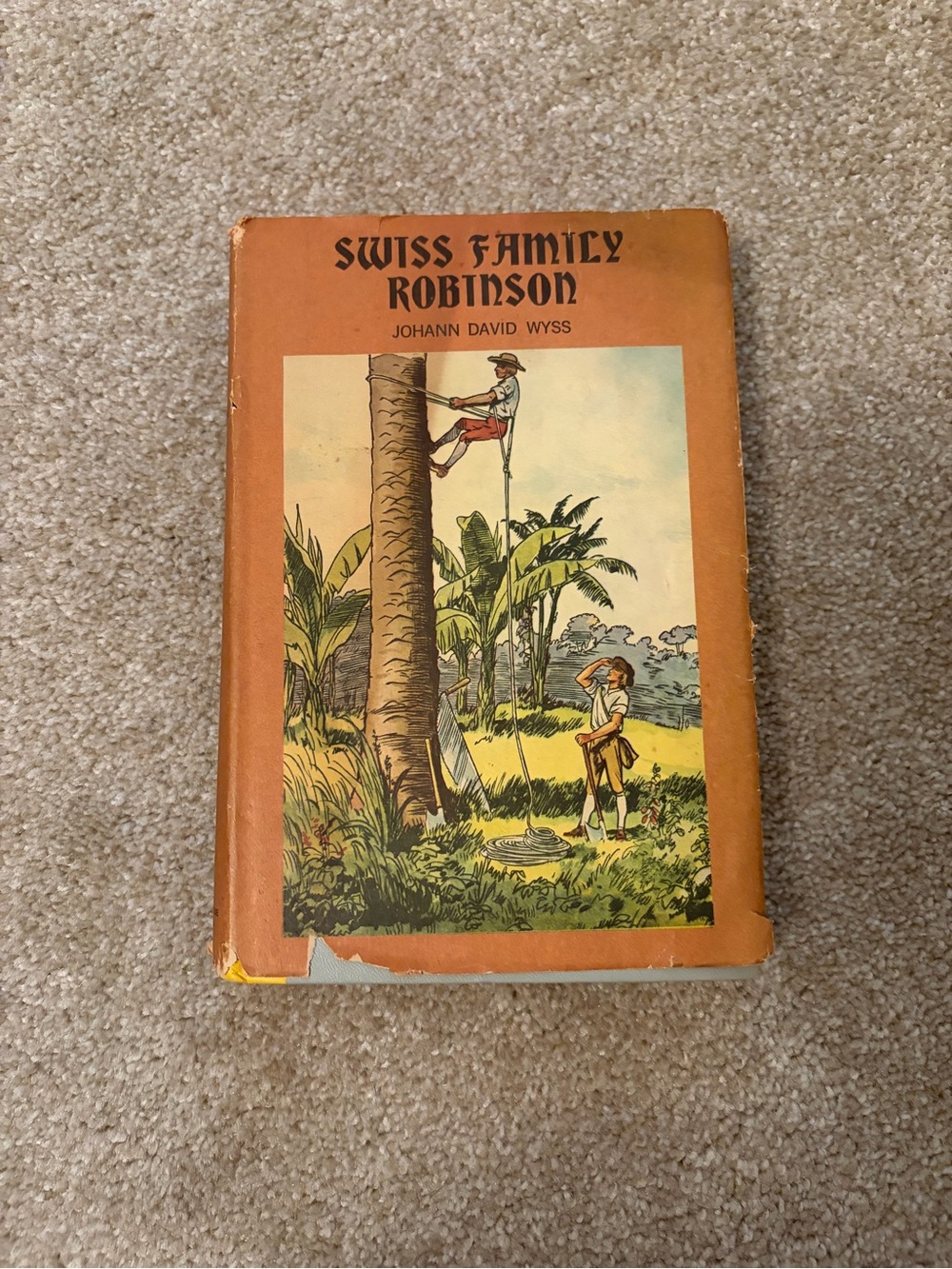 Swiss Family Robinson Hardcover Book - Orange Cover